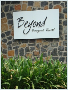 The Vineyard Resort